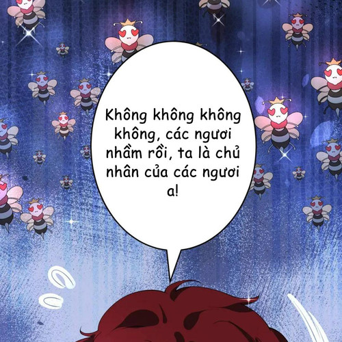 62.jpg
