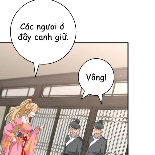 52.jpg