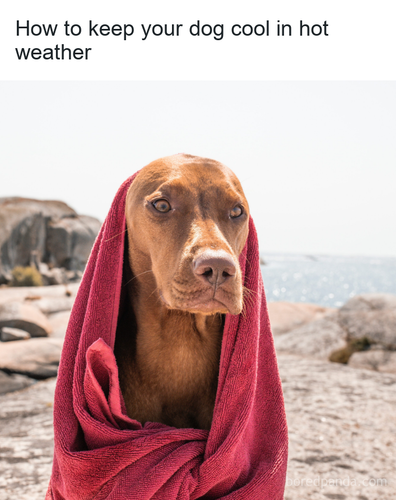 slack imgs 1.png
