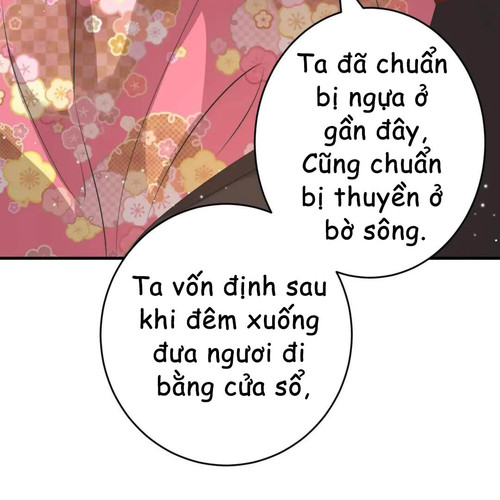 60.jpg
