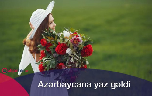 480970279 1072562721575009 7913968054685027683 n.jpg?stp=dst jpg p843x403 tt6& nc cat=111&ccb=1 7& n.jpg