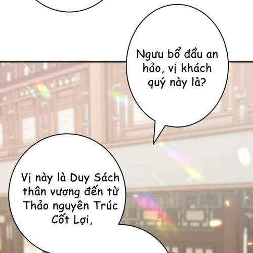 64.jpg