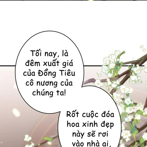 77.jpg