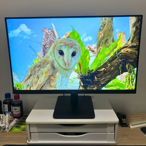 Monitor PC Gamer LG 24MS500.jpg