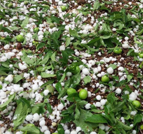 S4UdlTo4yrqJHOubqLxFrDY PJp3NRafSvZ UFtDqufxcfcPPIR2QhDz9QIUfMw KAz1RiXDp9PJzn R7tyM4kM4vd5b0fS7YxxS.jpg