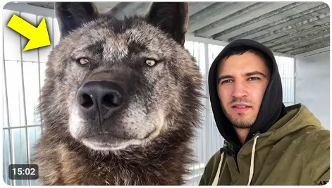 Screenshot 20250309220420.jpg