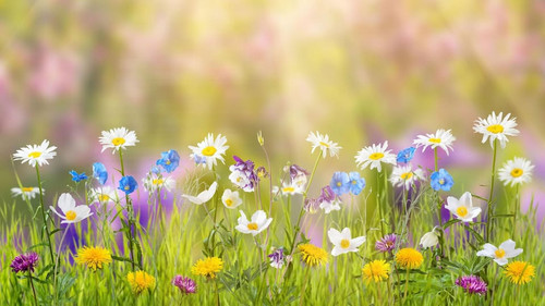 484989493 673951788622290 596984397079441437 n.jpg?stp=dst jpg s960x960 tt6& nc cat=104&ccb=1 7& nc .jpg