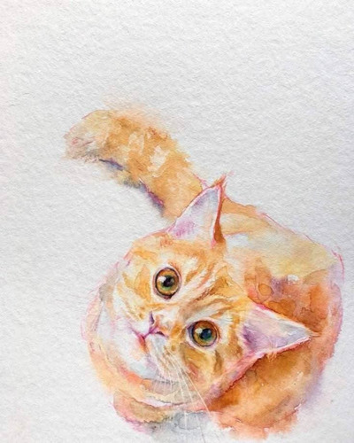 FB IMG 1742469495617.jpg