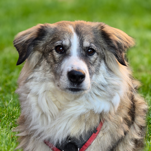 Picsart 25 03 09 17 08 29 297.png