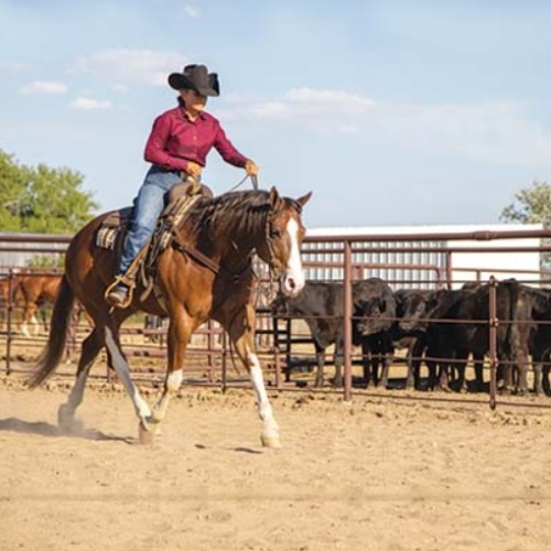 Gerard Micklos | A Shift from Corporate to Countryside.jpg