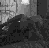 8061016.gif