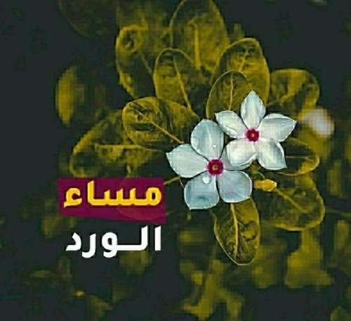 GmVyKHyWsAACqqs.jpg