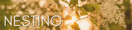 LD NESTINGS (11).png