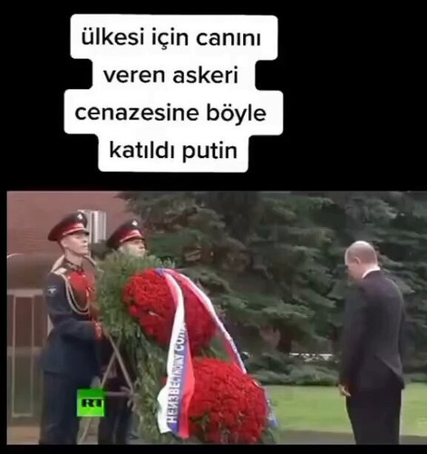 QT9DXPdRdK3OxDMN.jpg