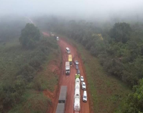 PA 50602002566202441 3.png