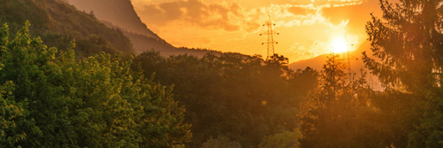 Untitled design (19).png