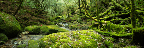 Untitled design (20).png