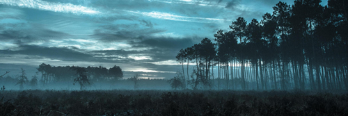 Untitled design (21).png