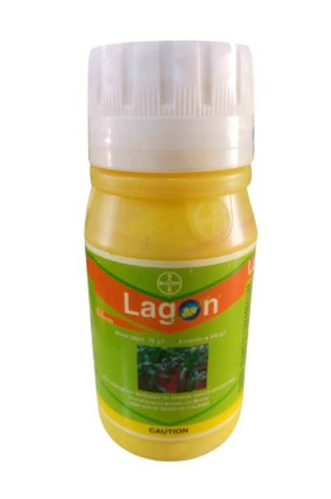 GmUmt LX0AAP Nl?format=jpg.jpg