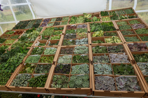 GmYbdgIXAAA TBw?format=jpg.jpg