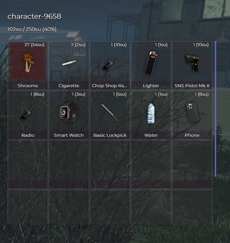 FiveM GTAProcess eY7RiNovIy.png