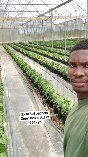 36 XKObyFcPlCuZ3.jpg