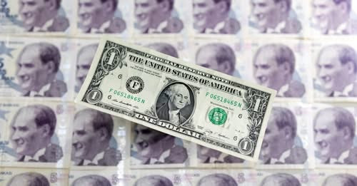 5831830377644221587?url=https%3A%2F%2Fd1xgc2em32gfm0.cloudfront.net%2F01000000 0a00 0242 3cba 08db56.jpg