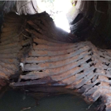 MA 50615001016202465 4