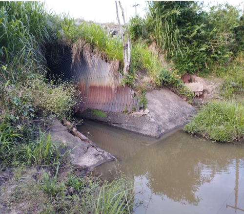 MA 50615001016202465 3.png