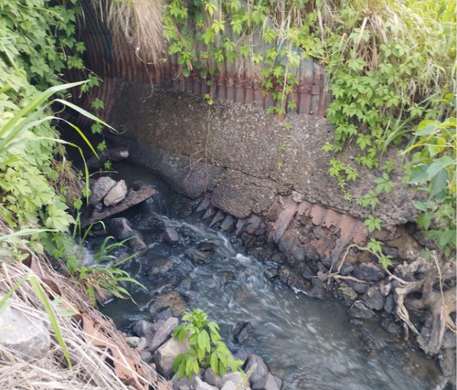 MA 50615001016202465 1.png