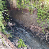 MA 50615001016202465 1