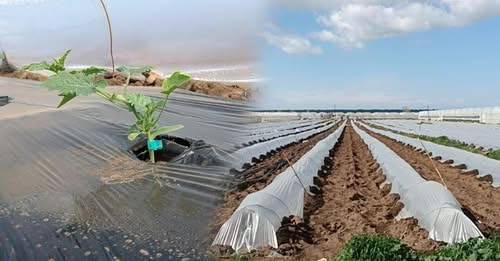 5871541945446443088?url=https%3A%2F%2Fshqiptarja.com%2Fuploads%2F780x440%2F1742395565 divjaka.jpg%3F.jpg