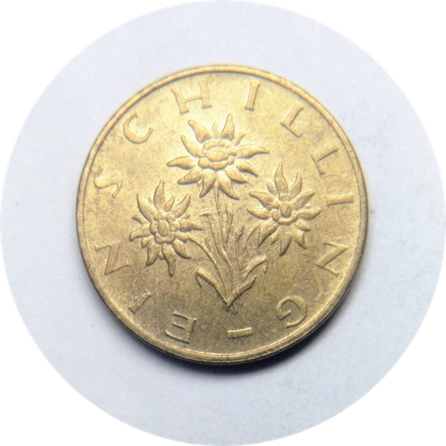 IMG 20250318 124754183.png