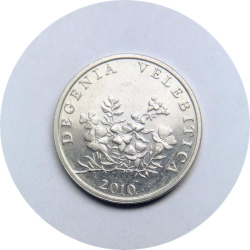 IMG 20250318 121739460.png