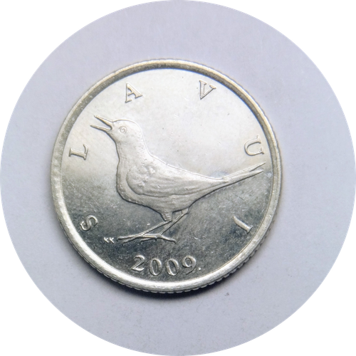 IMG 20250318 121522475.png