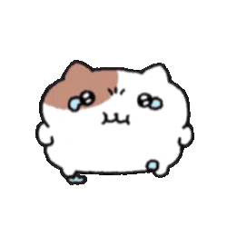 IMG 1658.gif
