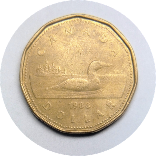 IMG 20250318 122348979.png