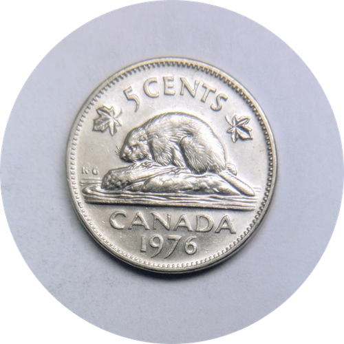 IMG 20250318 122930273.png