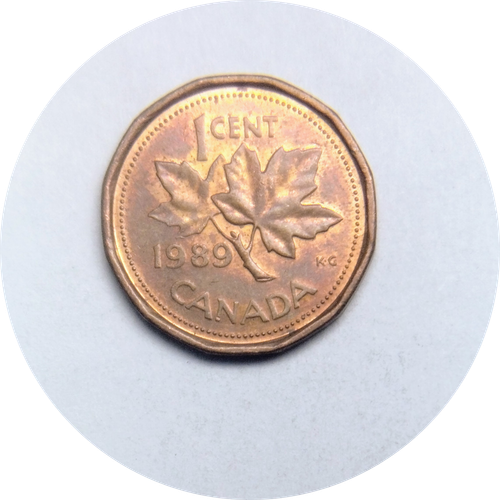 IMG 20250318 123251022.png