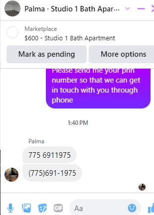 Palma.png