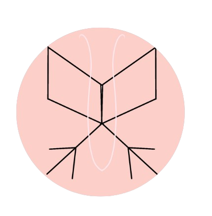 logo kássia.png