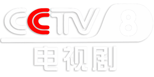 CCTV8.png