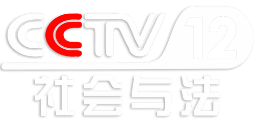 CCTV12.png