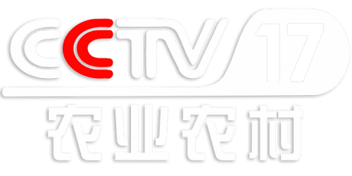 CCTV17.png