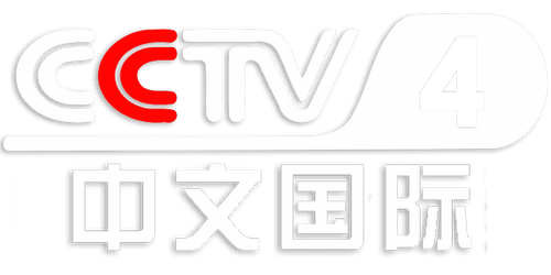CCTV4.png