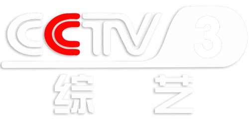 CCTV3.png