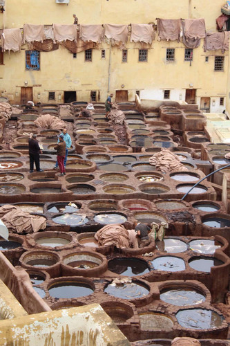 476503232 579884311727964 3926158619424585333 n.jpg