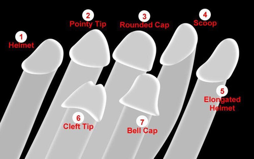 glans shapes.jpg
