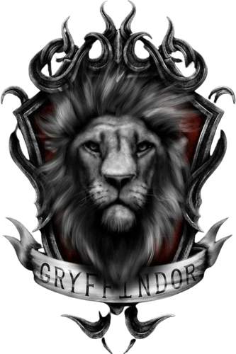 image 2025 03 19 051247461.png