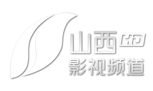 山西影视.png